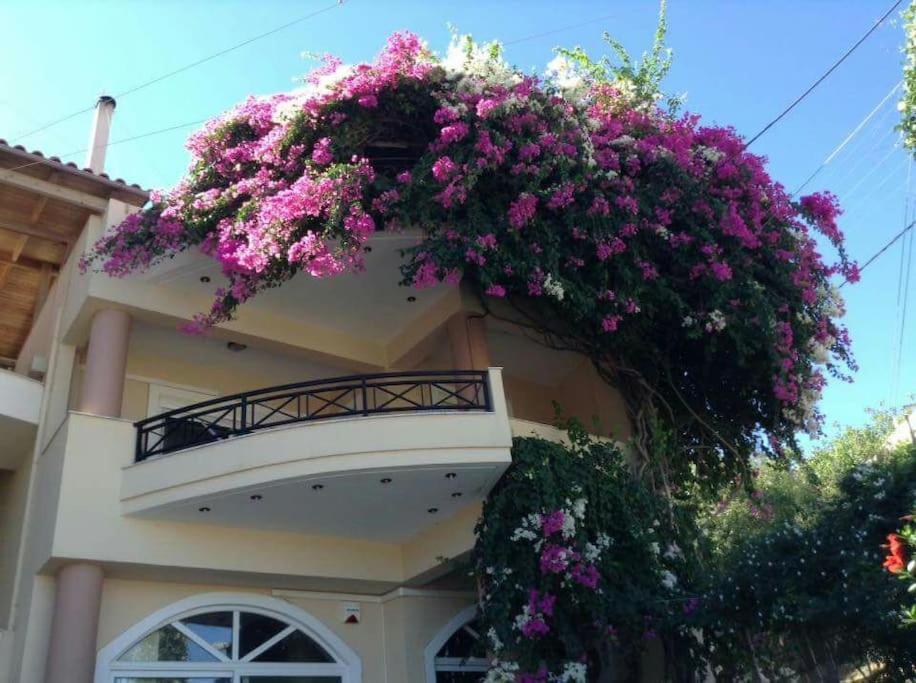 Lenico Beachfront Suites Agia Pelagia 외부 사진