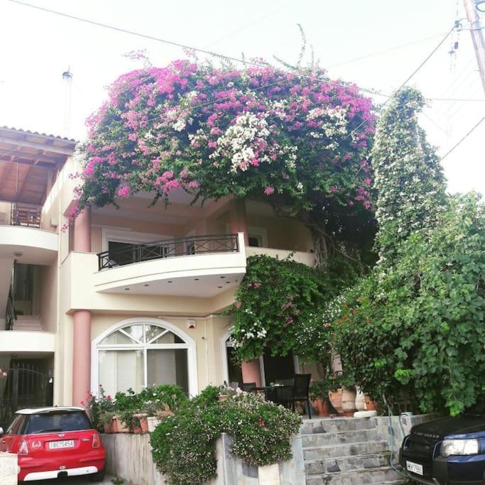 Lenico Beachfront Suites Agia Pelagia 외부 사진