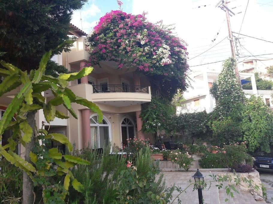 Lenico Beachfront Suites Agia Pelagia 외부 사진
